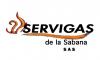 Foto de Servigas de la sabana