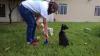 Foto de Paseadores de perros vinculo animal
